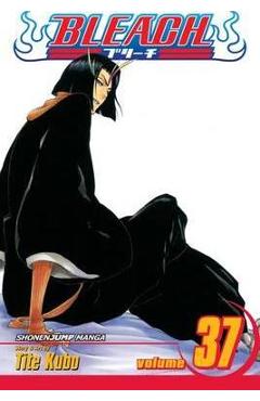 Bleach, vol. 37, 37 - tite kubo