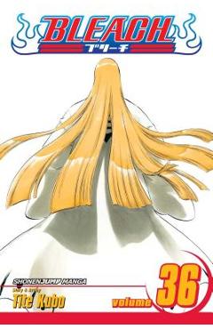 Bleach, Vol. 36, 36 - Tite Kubo
