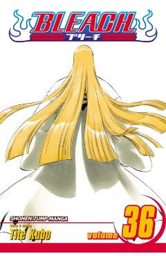 Bleach, Vol. 36, 36 - Tite Kubo