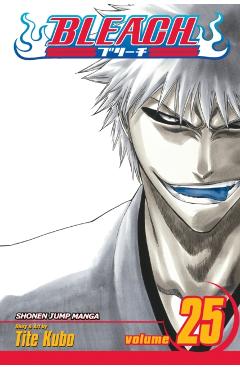 Bleach, Vol. 25, 25 - Tite Kubo