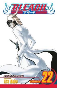 Bleach, Vol. 22, 22 - Tite Kubo