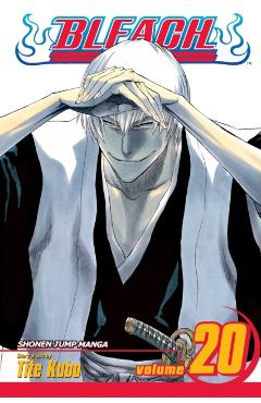 Bleach, Vol. 20, 20 - Tite Kubo