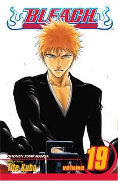 Bleach, Vol. 19, 19