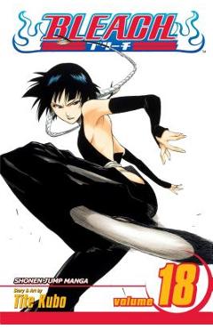 Bleach, vol. 18, 18 - tite kubo