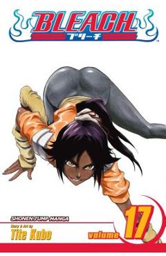 Bleach, vol. 17, 17 - tite kubo