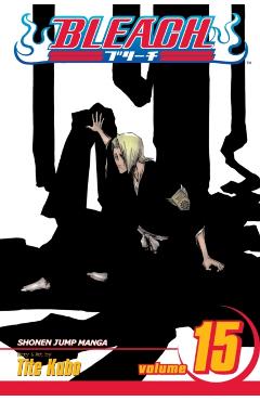 Bleach, Vol. 15, 15 - Tite Kubo