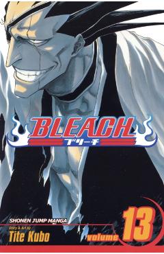 Bleach, Vol. 13, 13 - Tite Kubo