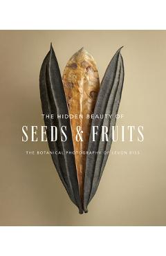 The Hidden Beauty of Seeds & Fruits: The Botanical Photography of Levon Biss - Levon Biss