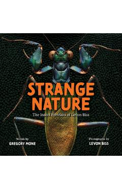 Strange Nature: The Insect Portraits of Levon Biss - Levon Biss