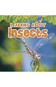 Learning about Insects - Catherine Veitch