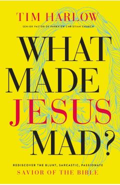What Made Jesus Mad?*: Rediscover the Blunt, Sarcastic, Passionate Savior of the Bible - Tim Harlow