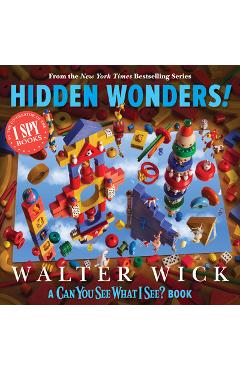Can You See What I See?: Hidden Wonders - Walter Wick