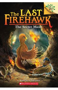 The Secret Maze: A Branches Book (the Last Firehawk #10), 10 - Katrina Charman