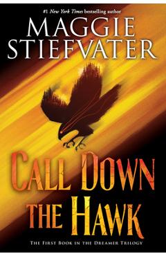 Call Down the Hawk (the Dreamer Trilogy, Book 1), 1 - Maggie Stiefvater