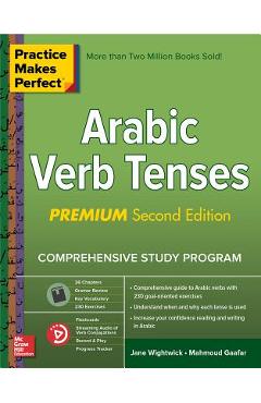 Practice Makes Perfect: Arabic Verb Tenses, Premium Second Edition - Jane Wightwick