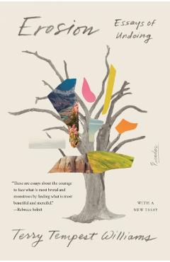 Erosion: Essays of Undoing - Terry Tempest Williams