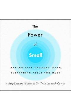 The power of small: making tiny changes when everything feels too much - aisling leonard-curtin