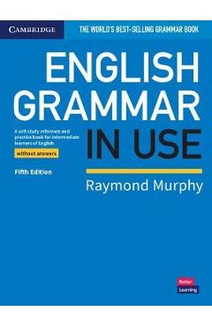 English Grammar in Use Book Without Answers: A Self-Study Reference and Practice Book for Intermediate Learners of English - Raymond Murphy