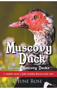 Muscovy Duck: Raising Muscovy Ducks - June Rose