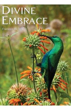 DIVINE EMBRACE New, 30 Chapter, 444page Revised Edition - Francois Du Toit