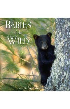 Babies of the wild - carl r. sams