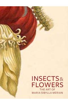 Insects and Flowers: The Art of Maria Sibylla Merian - David Brafman