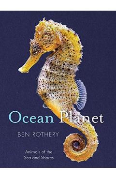 Ocean Planet: Animals of the Sea and Shore - Ben Rothery