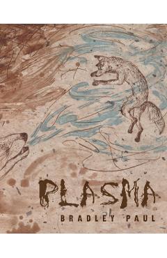 Plasma - Bradley Paul