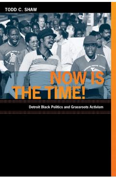 Now Is the Time!: Detroit Black Politics and Grassroots Activism - Todd C. Shaw