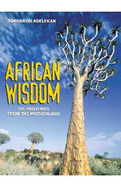 African Wisdom: 101 Proverbs from the Motherland - Tokunboh Adelekan