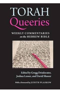 Torah Queeries: Weekly Commentaries on the Hebrew Bible - Gregg Drinkwater