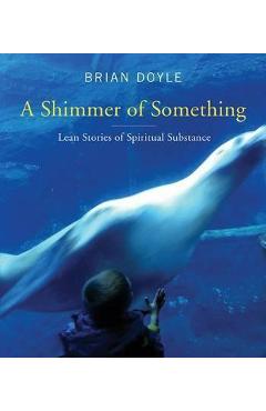 Shimmer of Something: Lean Stories of Spiritual Substance - Brian Doyle