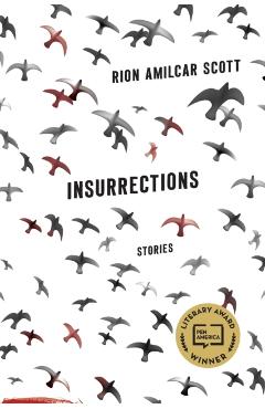 Insurrections: Stories - Rion Amilcar Scott