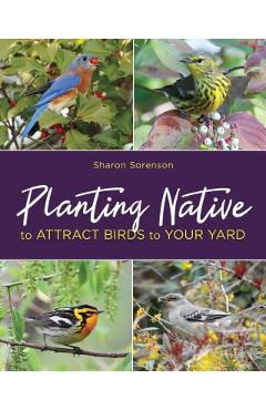 Planting Native to Attract Birds to Your Yard - Sharon Sorenson