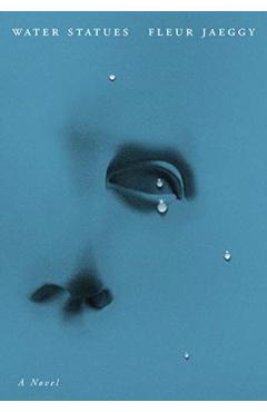 The Water Statues - Fleur Jaeggy