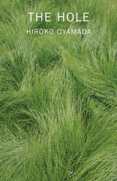 The Hole - Hiroko Oyamada