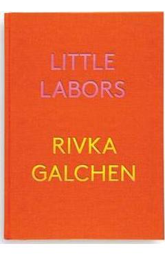 Little Labors - Rivka Galchen