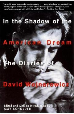 In the Shadow of the American Dream: The Diaries of David Wojnarowicz - Amy Scholder