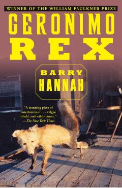 Geronimo Rex - Barry Hannah - Imagine 1