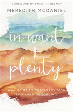 In Want + Plenty: Waking Up to God\'s Provision in a Land of Longing - Meredith Mcdaniel