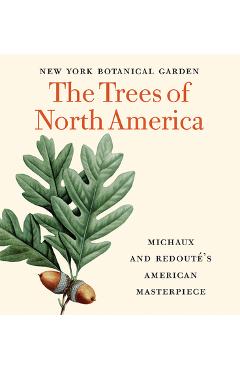 The Trees of North America: Michaux and Redout�\'s American Masterpiece (Tiny Folio) - David Allen Sibley