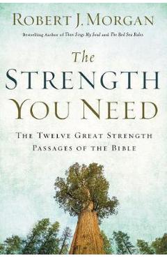 The Strength You Need: The Twelve Great Strength Passages of the Bible - Robert J. Morgan