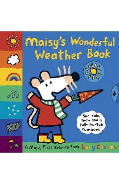 Maisy\'s Wonderful Weather Book - Lucy Cousins