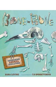 Bone by Bone: Comparing Animal Skeletons - Sara Levine