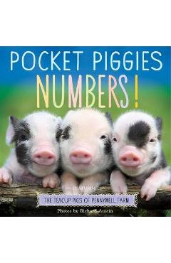 Pocket Piggies Numbers!: Featuring the Teacup Pigs of Pennywell Farm - Richard Austin