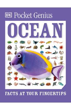Pocket Genius Ocean - Dk