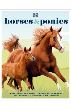 Horses & Ponies - Dk