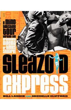 Sleazoid Express: A Mind-Twisted Tour Though the Grindhouse Cinema of Times Square - Bill Landis