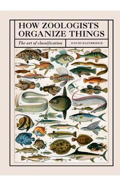 How Zoologists Organize Things: The Art of Classification - David Bainbridge