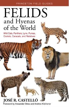 Felids and Hyenas of the World: Wildcats, Panthers, Lynx, Pumas, Ocelots, Caracals, and Relatives - Jos� R. Castell�